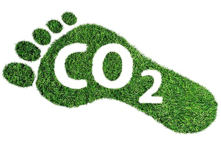 Führende Forschung zeigt: Werbeartikel haben hohe Marketingwirkung bei geringem CO₂-Fußabdruck