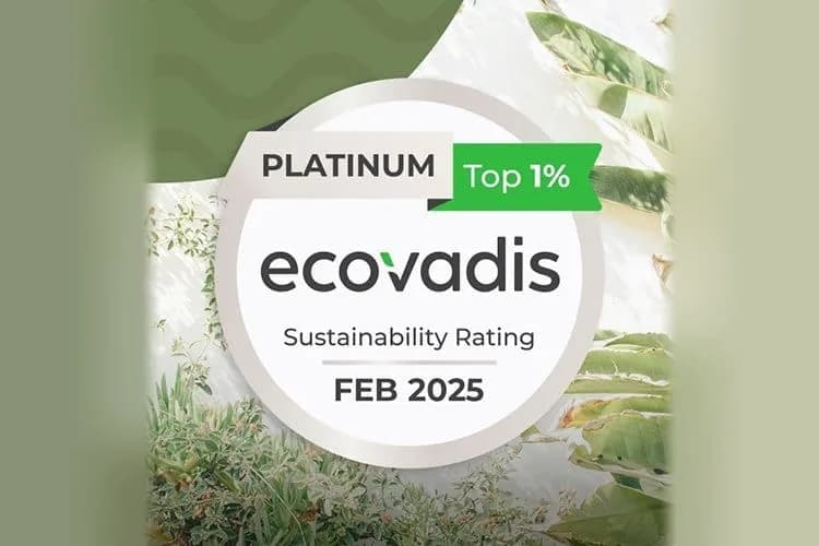 Clipper Interall erhält EcoVadis-Platin-Auszeichnung